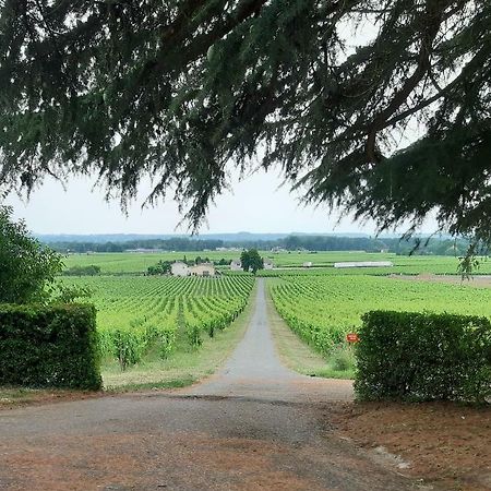 A L'Ombre De La Treille -Proche Saint-Emilion Bed & Breakfast Dış mekan fotoğraf