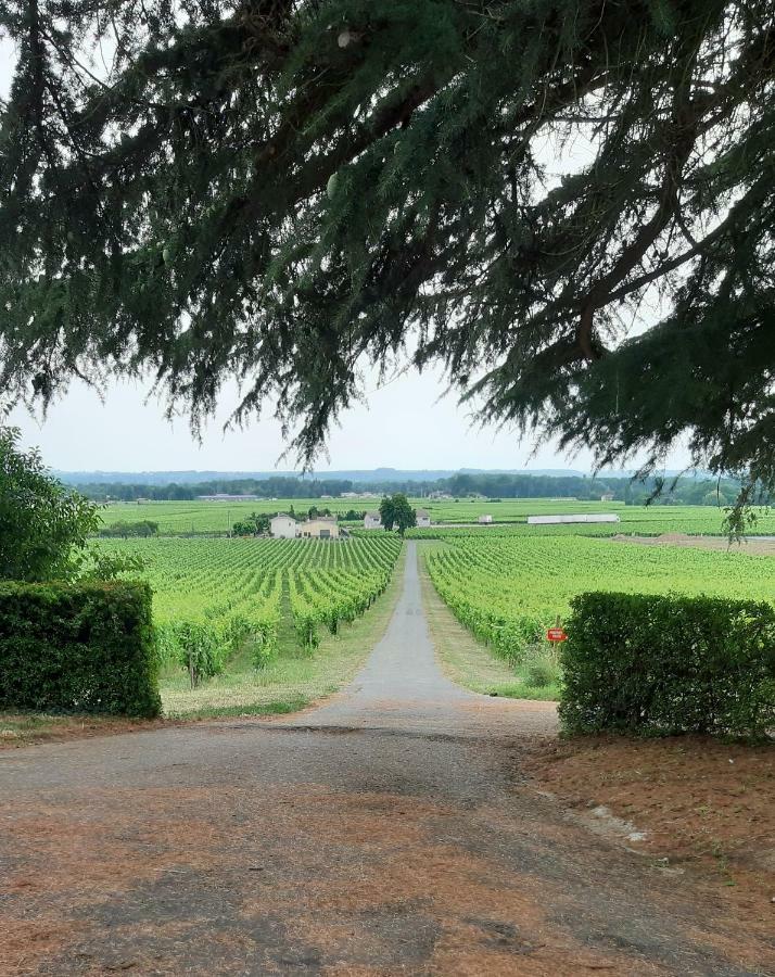 A L'Ombre De La Treille -Proche Saint-Emilion Bed & Breakfast Dış mekan fotoğraf